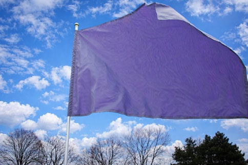 Pantone C6B5CF